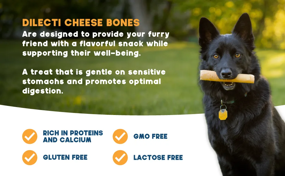 Himalayan Cheese Bones - Natural Long Lasting Dog Chews for Large Dogs made from milk pack of 3 - cheese bones EBC 2