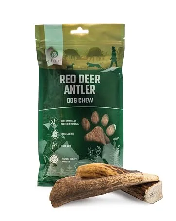 Himalayan Cheese Bones - Natural Long Lasting Dog Chews for Large Dogs made from milk pack of 3 - Hard antler chews