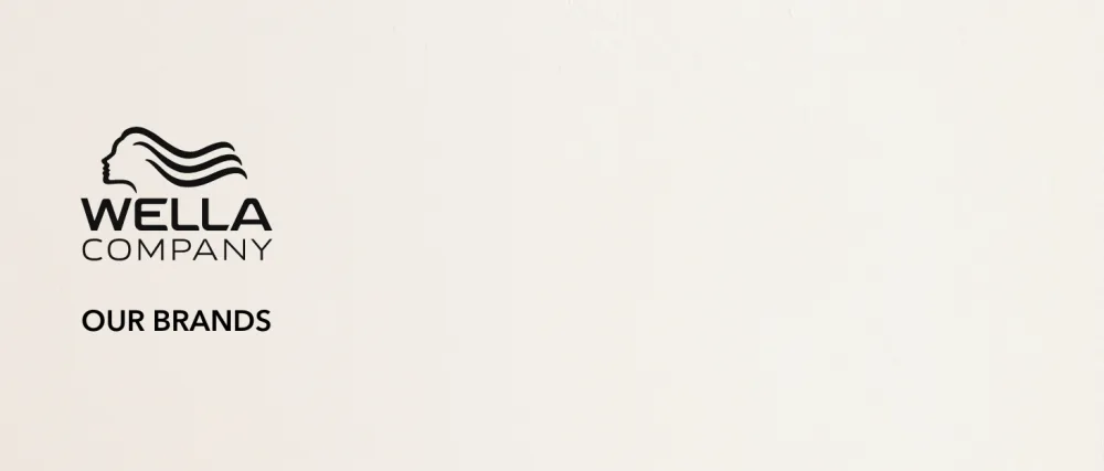 EIMI Perfect Setting 150ml 150 ml (Pack of 1) - background