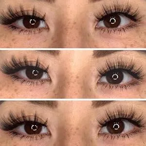 EMEDA 3D Natural False Lashes with Glue 5 Pairs Fluffy False Cat Eye Lashes Multipack Thick and Long False Eyelashes With Glue Strip Fake Lashes With Applicator False Lashes Kit mix-001 - make up