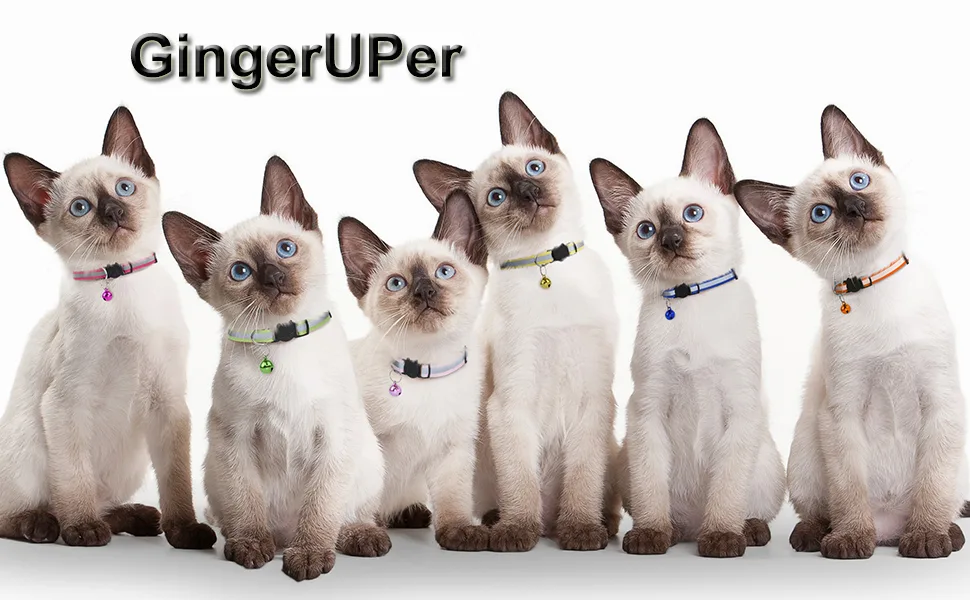 GingerUPer Cat Collars Quick Release Reflective Cat Collars with Bells and Safety Release Adjustable 8-12" to Fit All Domestic Cats(12 Pack) - cat collar