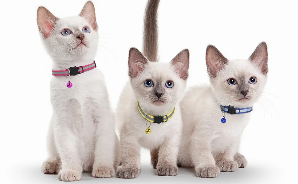 GingerUPer Cat Collars Quick Release Reflective Cat Collars with Bells and Safety Release Adjustable 8-12" to Fit All Domestic Cats(12 Pack) - cat collar