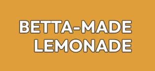 Gunna Fizzy Drinks Raspberry Pink Lemonade Cans Natural Vegan Sparkling Natural Soft Drink Real Raspberry and Lemon Flavour Immune Boosting Drink 330ml x 12 12 x 330ml - immune boosting functional lemonade soda soft drink vitamin mineral refreshing beverage sparkling
