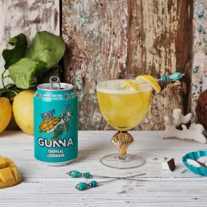 Gunna Fizzy Drinks Raspberry Pink Lemonade Cans Natural Vegan Sparkling Natural Soft Drink Real Raspberry and Lemon Flavour Immune Boosting Drink 330ml x 12 12 x 330ml - immune boosting functional lemonade soda soft drink vitamin mineral refreshing beverage sparkling