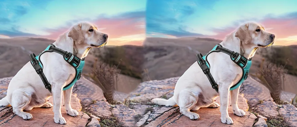HEELE Dog Harness No Pull Dog Harness Small Release on Neck Front Back Clips Dog Vest Harness Reflective Adjustable Padded Easy Control Handle for Outdoor Walking Training Green S S (Pack of 1) Solid Green - dog harness