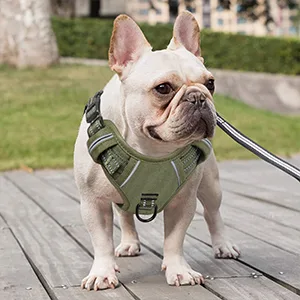 HEELE Dog Harness No Pull Dog Harness Small Release on Neck Front Back Clips Dog Vest Harness Reflective Adjustable Padded Easy Control Handle for Outdoor Walking Training Green S S (Pack of 1) Solid Green - product information 19