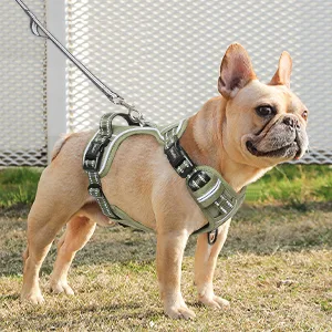 HEELE Dog Harness No Pull Dog Harness Small Release on Neck Front Back Clips Dog Vest Harness Reflective Adjustable Padded Easy Control Handle for Outdoor Walking Training Green S S (Pack of 1) Solid Green - product information 20