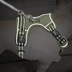 HEELE Dog Harness No Pull Dog Harness Small Release on Neck Front Back Clips Dog Vest Harness Reflective Adjustable Padded Easy Control Handle for Outdoor Walking Training Green S S (Pack of 1) Solid Green - product information 21