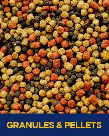 HERONS - Premium Turtle Stick - For all Water Turtles - Improves Digestive System Metabolism & Shell Structure - Contributes to Healthy Immune System - 100 Grams Unflavoured 100 g (Pack of 1) - Granules & pellets