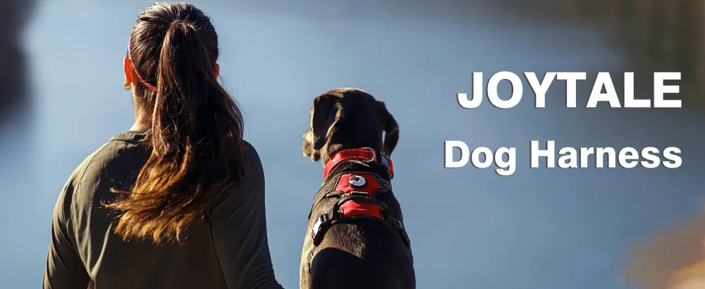 Joytale No Pull Dog Harness Reflective Pet Vest with Front Clip Adjustable Soft Breathable Harnesses with Easy Control Handle for Medium Dogs Training and Walking Red M M (Pack of 1) Red - dog harness