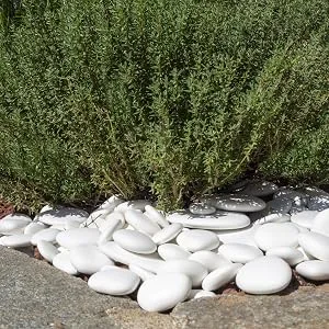 Kalapanta - Large size recycled plastic decorative pebbles for pots paint aquariums garden mini pack rock painting white (5-8cm) | Mini-pack - sassi esterna