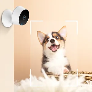 LAXIHUB 1080P Pet Camera 2 Pack Puppy Camera/Cam Indoor CCTV WiFi Camera Night Vision 2-Way Audio M1 2pc - Easy Set Up