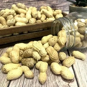 *Special* Peanuts in Shells 200g Premium Safe Wild Bird Food Monkey Nuts Afflotoxin Free Peanut 200 g (Pack of 1) - nuts in shell