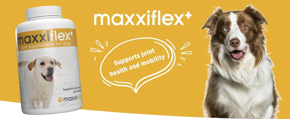 maxxipaws maxxiflex+ hip and joint supplement for dogs - 120 tablets 120 count (Pack of 1) - MAXXIFLEX+