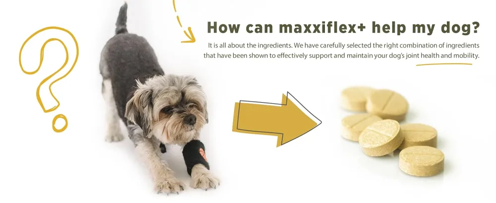 maxxipaws maxxiflex+ hip and joint supplement for dogs - 120 tablets 120 count (Pack of 1) - MAXXIFLEX+