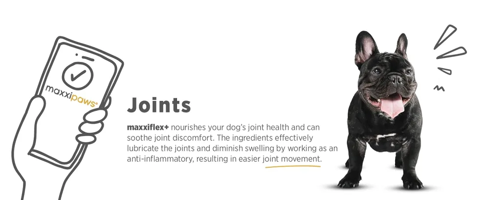 maxxipaws maxxiflex+ hip and joint supplement for dogs - 120 tablets 120 count (Pack of 1) - MAXXIFLEX+