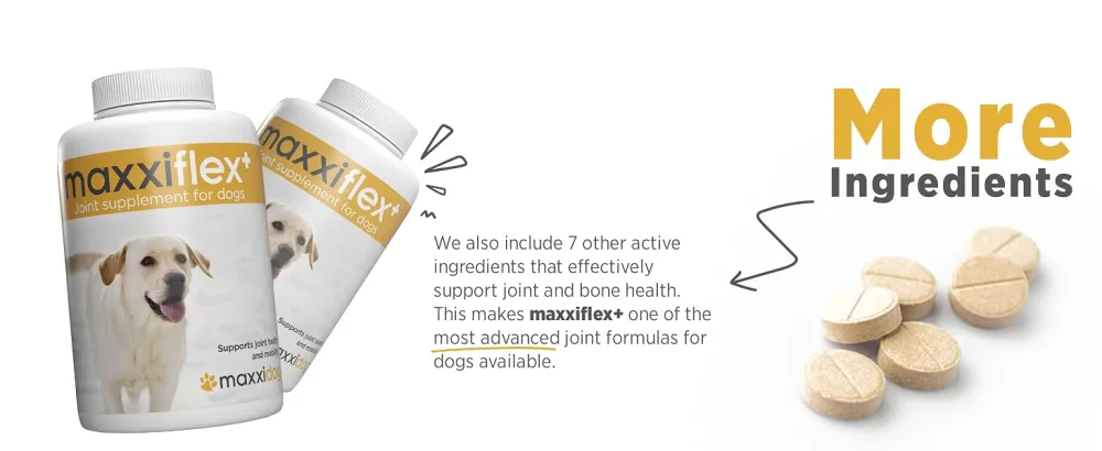 maxxipaws maxxiflex+ hip and joint supplement for dogs - 120 tablets 120 count (Pack of 1) - MAXXIPAWS