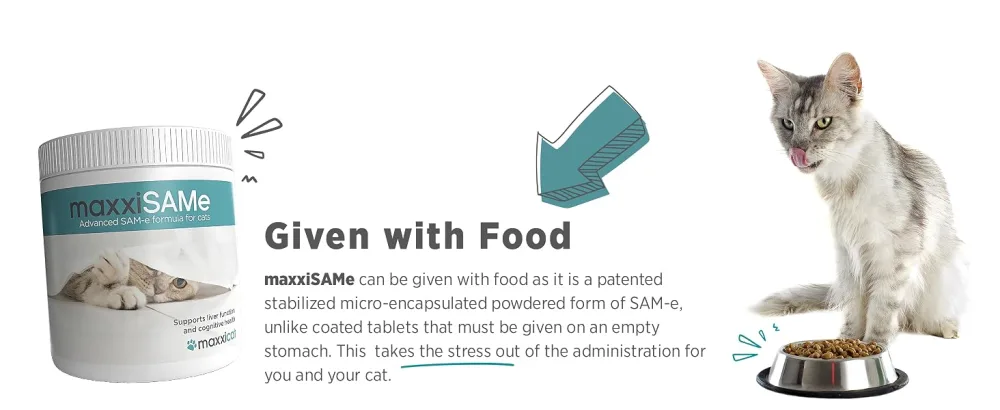 maxxipaws maxxiSAMe Advanced SAM-e Liver and Cognitive Supplement for Cats Given with Food Powder 90 g 90 count (Pack of 1) - MAXXIPAWS