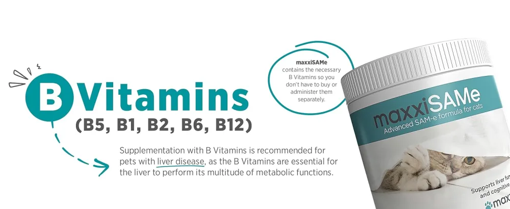 maxxipaws maxxiSAMe Advanced SAM-e Liver and Cognitive Supplement for Cats Given with Food Powder 90 g 90 count (Pack of 1) - MAXXIPAWS