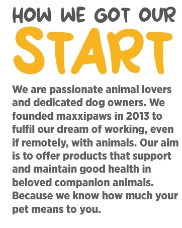 maxxipaws maxxiSAMe Advanced SAM-e Liver and Cognitive Supplement for Cats Given with Food Powder 90 g 90 count (Pack of 1) - maxxipaws