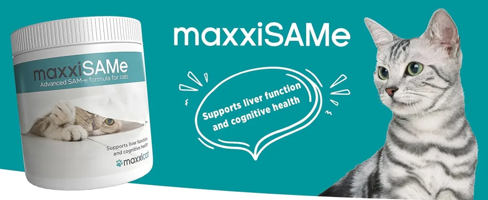 maxxipaws maxxiSAMe Advanced SAM-e Liver and Cognitive Supplement for Cats Given with Food Powder 90 g 90 count (Pack of 1) - MAXXIPAWS