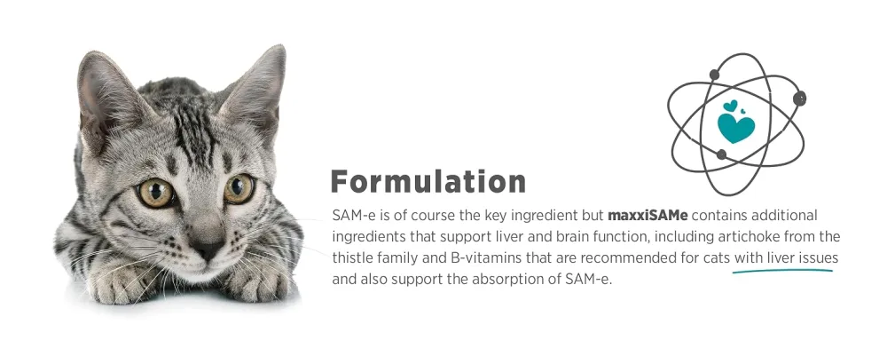 maxxipaws maxxiSAMe Advanced SAM-e Liver and Cognitive Supplement for Cats Given with Food Powder 90 g 90 count (Pack of 1) - MAXXIPAWS