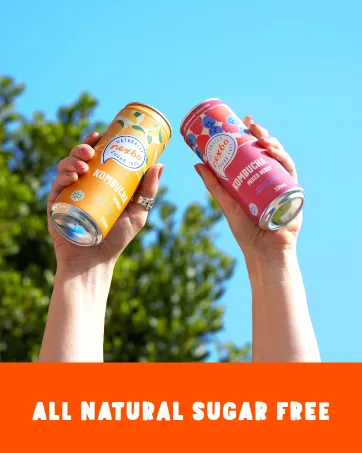 Nexba Good Gut Feels Discovery Pack 330 ml Sleek Cans (Pack of 12) - Nexba Lifestyle 3