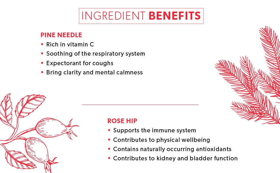 Nutra Tea - Pine Needle & Rosehip Tea | Pine Needle Tea | Pine Tea - 20 Tea Bags - Herbal Tea 20 Count (Pack of 1) - Pine Needle & Rose Hip Tea - Ingredient Benefits