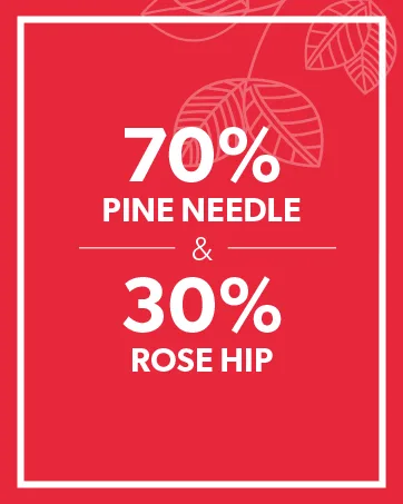 Nutra Tea - Pine Needle & Rosehip Tea | Pine Needle Tea | Pine Tea - 20 Tea Bags - Herbal Tea 20 Count (Pack of 1) - Pine Needle & Rose Hip - Benefits