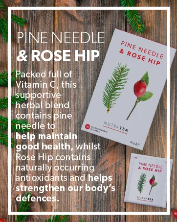 Nutra Tea - Pine Needle & Rosehip Tea | Pine Needle Tea | Pine Tea - 20 Tea Bags - Herbal Tea 20 Count (Pack of 1) - Pine Needle & Rose Hip - Reasons To Believe