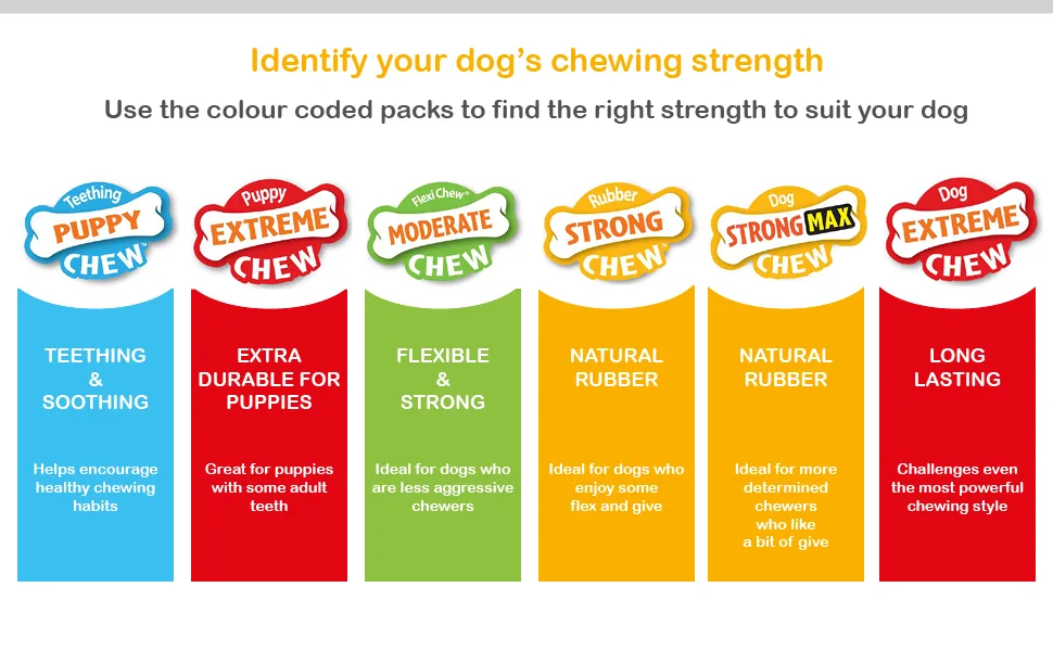 Nylabone Power Chew Dog Toy Keys Bacon Flavour Small/Regular - For Dogs up to 11kg 1 Count (Pack of 1) - Nylabone strength guide