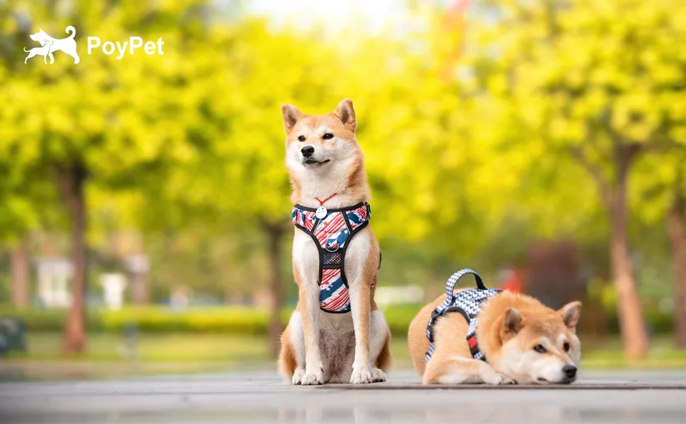 PoyPet No Pull Dog Harness Release on Neck Reflective Adjustable No Choke Pet Vest with Front & Back 2 Leash Attachments Soft Control Training Handle for Medium Dogs(Checkered Red M) M (Pack of 1) Checkered Red - HARNESS