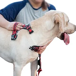 PoyPet No Pull Dog Harness Release on Neck Reflective Adjustable No Choke Pet Vest with Front & Back 2 Leash Attachments Soft Control Training Handle for Medium Dogs(Checkered Red M) M (Pack of 1) Checkered Red - harness