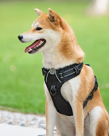 PoyPet No Pull Dog Harness Release on Neck Reflective Adjustable No Choke Pet Vest with Front & Back 2 Leash Attachments Soft Control Training Handle for Medium Dogs(Checkered Red M) M (Pack of 1) Checkered Red - product information 10