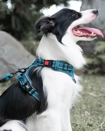 PoyPet No Pull Dog Harness Release on Neck Reflective Adjustable No Choke Pet Vest with Front & Back 2 Leash Attachments Soft Control Training Handle for Medium Dogs(Checkered Red M) M (Pack of 1) Checkered Red - product information 7