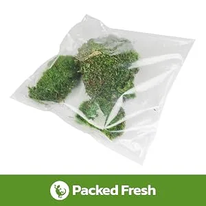 Swell Reptiles Carpet Live Natural Moss Single Pack. For Terrariums And Vivariums Moss Carpet - packed fresh