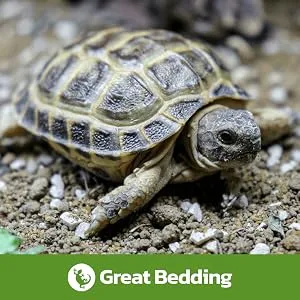 Swell Reptiles Tortoise Soil 10 Litre Bag. Burrowing Substrate For Tortoise Habitat Bedding. - Great bedding