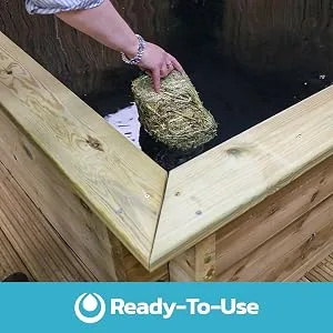 Swell Barley Straw Midi 2 pack. Barley Straw for Ponds to act as Pond Cleaner and Algae Treatment - Ready to use