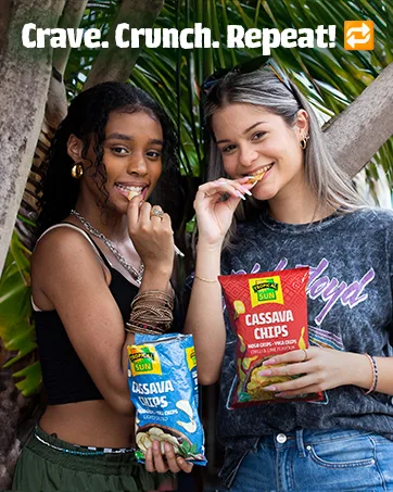Tropical Sun Lemon and Chilli Flavour Plantain Chips 450g (Pack of 1) - Tropical Sun Chips
