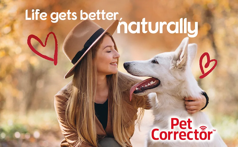 Pet Corrector Spray for Dogs Dog Training Spray to Stop Barking and Unwanted behaviours Pet Deterrent and Training Spray 30 ml 4 pack - Pet Corrector Life gets better naturally