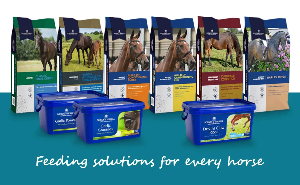 Dodson & Horrell 'MOBILITY' HORSE SUPPLEMENT Mobility 1 kg (Pack of 1) - dodson and horrell feeding solutions