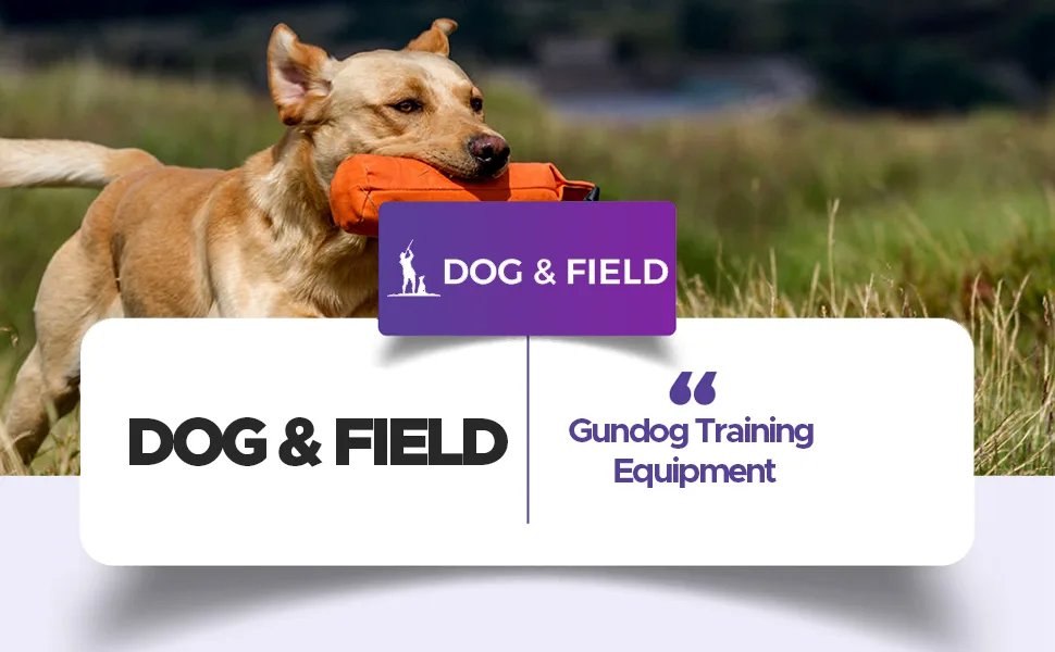 Dog & Field 0.5lb Canvas Dog Training Dummy - Green Orange Red & White (Green) Green 0.5lb (Pack of 1) - product information 1