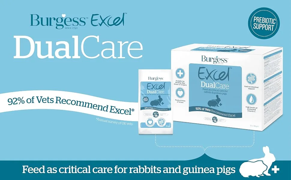 Excel Dual Care Pack of 10 60 g - Burgess Excel DualCare