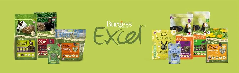 Excel Dual Care Pack of 10 60 g - Excel Range