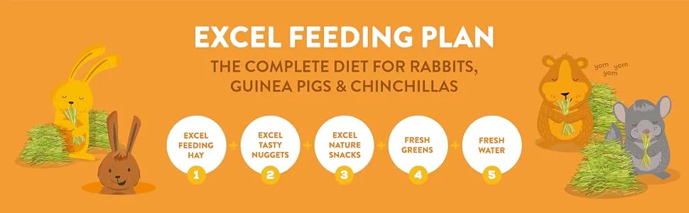 Burgess Excel Feeding Hay with Hedgerow Herbs 3 kg Green Hedgerow Herbs 3 kg (Pack of 1) - Excel Feeding Plan