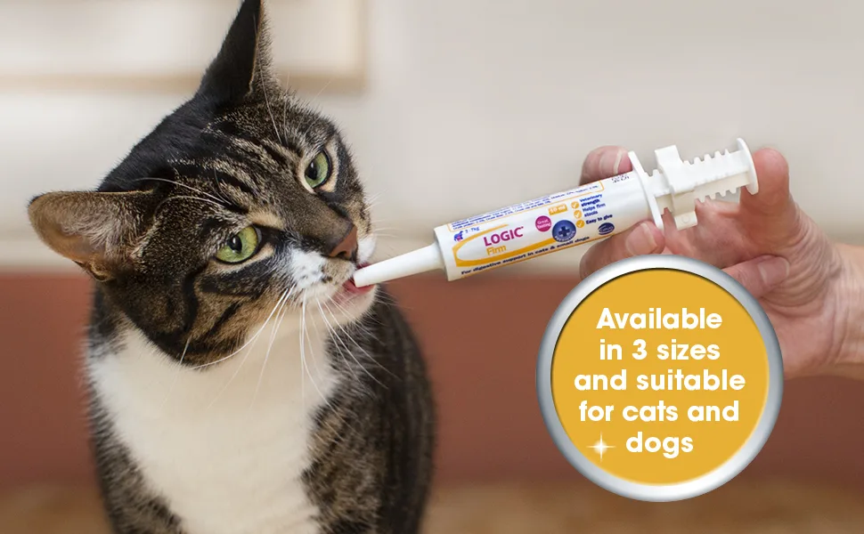 Logic Firm Digestive Support for Large Dogs Transparent Large - cat logic firm syringe