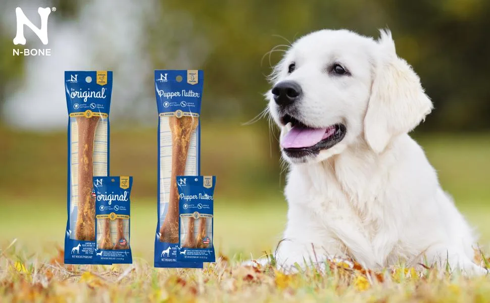 N-Bone 1.4-Ounce The Original Bagged Bone Treat For Dogs Small Chicken Flavor 2-Pack - N-BONE