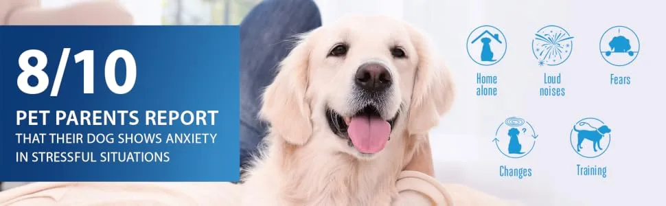 ADAPTIL Calm 30 day Refill helps dog cope with behavioural issues and life challenges - 48 ml (Pack of 1) 30 day refill pack - Pet Parent Report