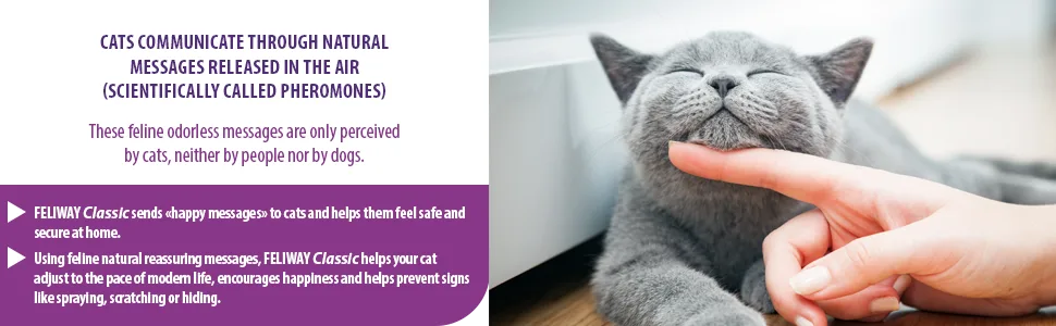 FELIWAY Classic 30 day Refill comforts cats helps solve behavioural issues and stress/anxiety in the home - 48ml Single 30 day refill pack - FELIWAY CLASSIC Messages