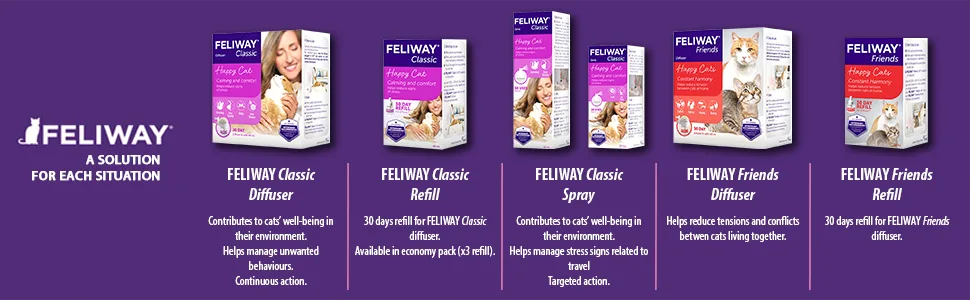 FELIWAY Classic 30 day Refill comforts cats helps solve behavioural issues and stress/anxiety in the home - 48ml Single 30 day refill pack - FELIWAY Solution